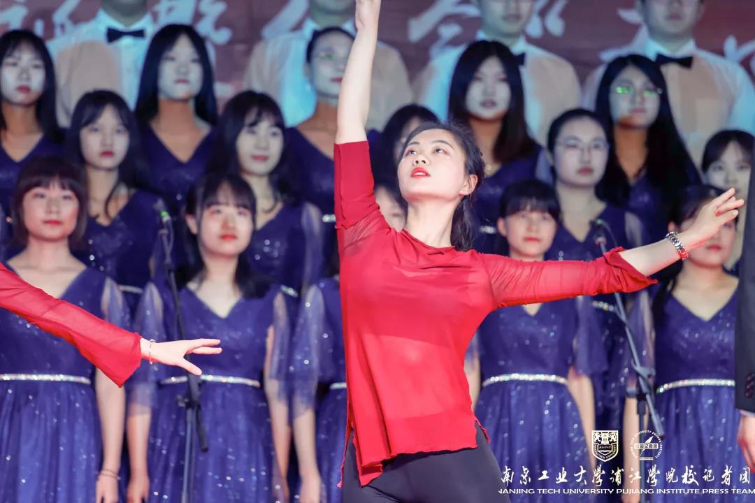 njpji.cn
