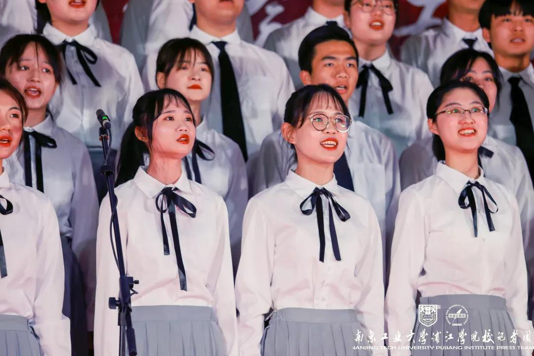 njpji.cn