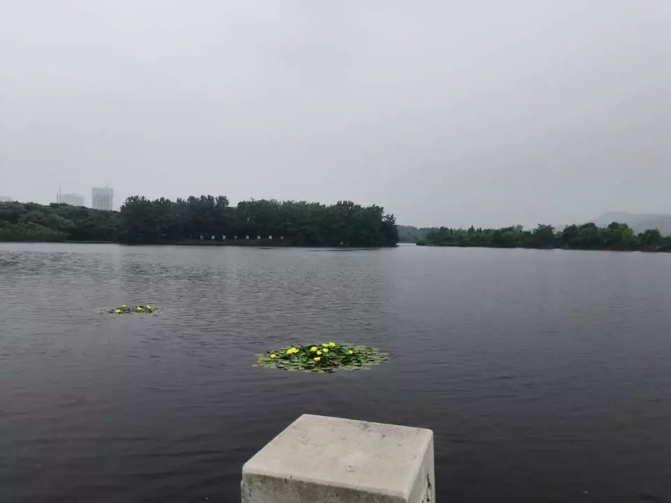 njpji.cn