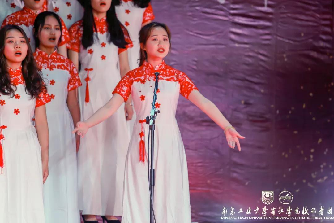 njpji.cn