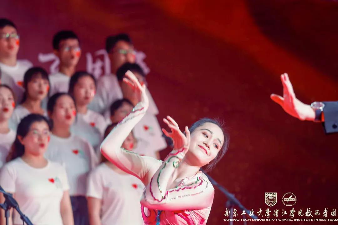 njpji.cn