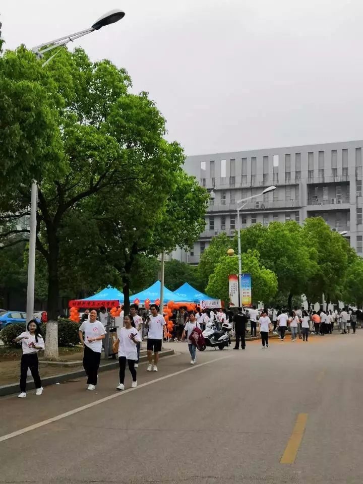 njpji.cn