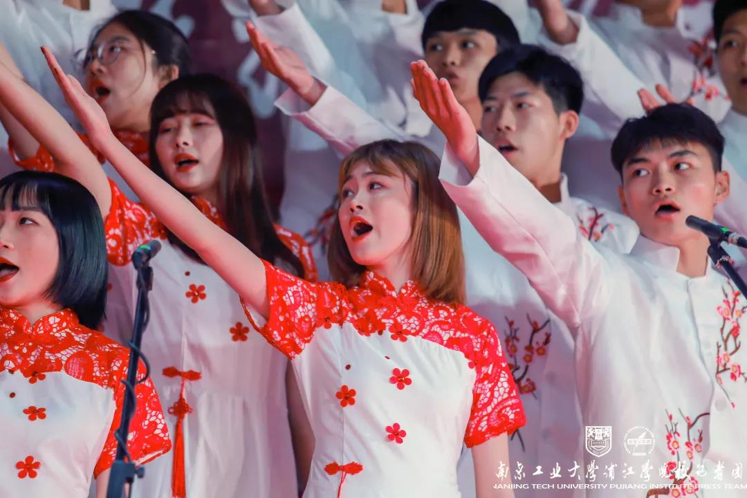 njpji.cn